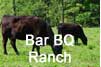 Bar BQ Ranch Ranch Icon